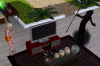 08.gif (84923 bytes)