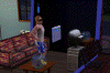 12.gif (77600 bytes)